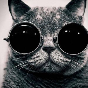 Meet your Posher, Candace